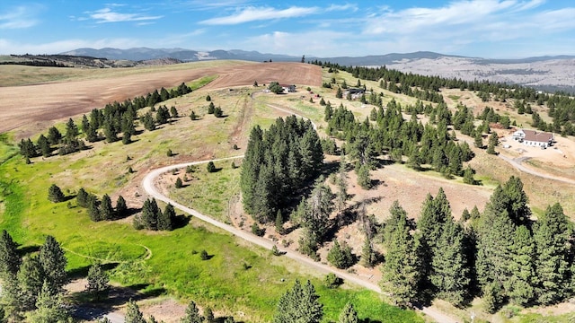 36127 N Hart Rd, Davenport, WA 99122 - view of rural area with mountains