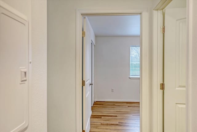 3002 N Crestline St, Spokane, WA 99207 - photo 15