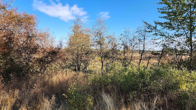 000 W Spring Creek Rd, Deer Park, WA 99006