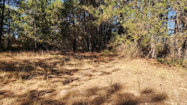 000 W Spring Creek Rd, Deer Park, WA 99006