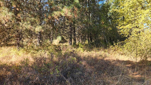 000 W Spring Creek Rd, Deer Park, WA 99006