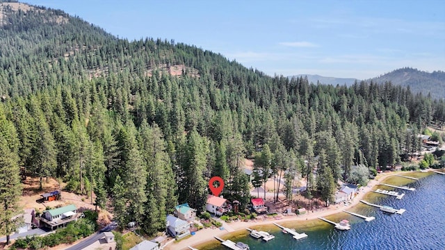 3930 N Deer Lake Rd, Loon Lake, WA 99148 - bird's eye view of a heavily wooded area and a water and mountain view