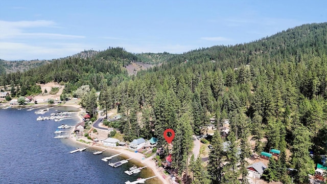 3930 N Deer Lake Rd, Loon Lake, WA 99148 - aerial overview of property's location featuring a heavily wooded area and a water and mountain view