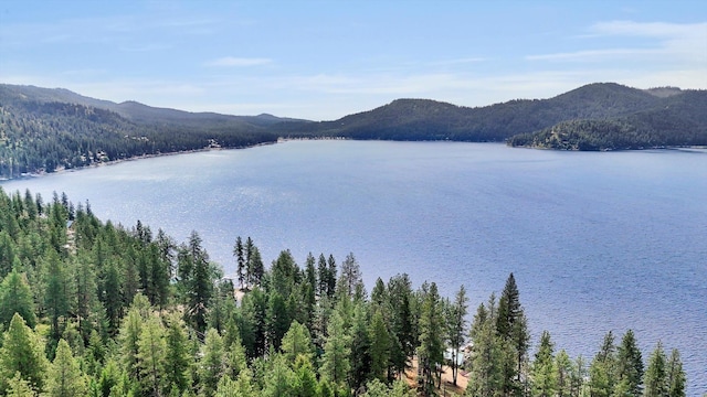 3930 N Deer Lake Rd, Loon Lake, WA 99148 - water view with a mountain backdrop