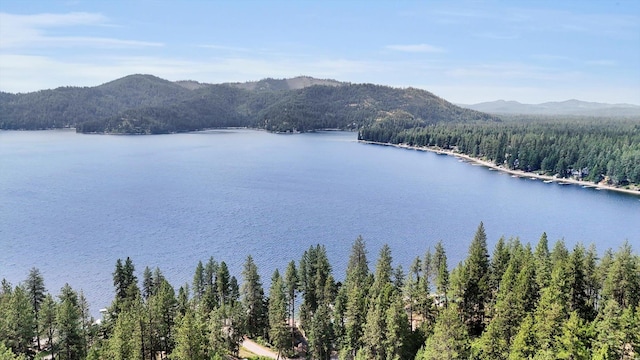 3930 N Deer Lake Rd, Loon Lake, WA 99148 - water view featuring a forest and mountains