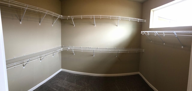 8516 N Summerhill Ln, Spokane, WA 99208 - walk in closet with carpet floors