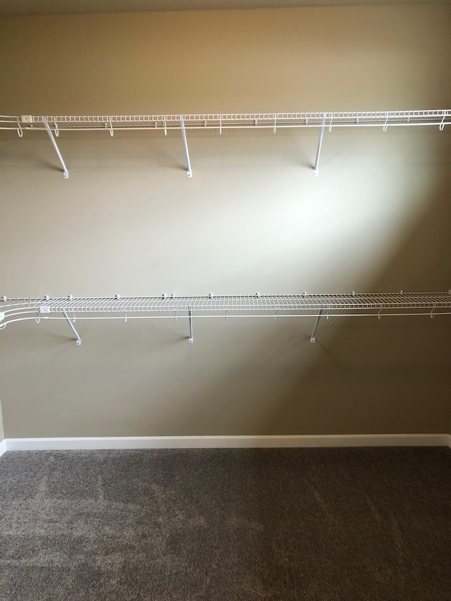 8516 N Summerhill Ln, Spokane, WA 99208 - walk in closet featuring carpet floors