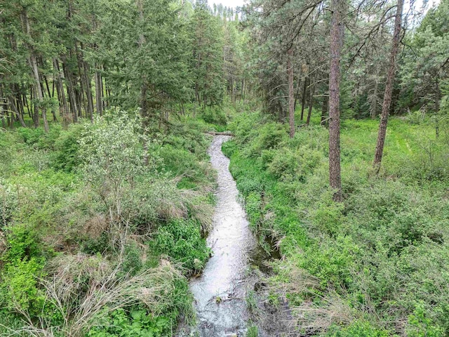 16215 W Coulee Hite Rd, Spokane, WA 99224 - view of wooded area