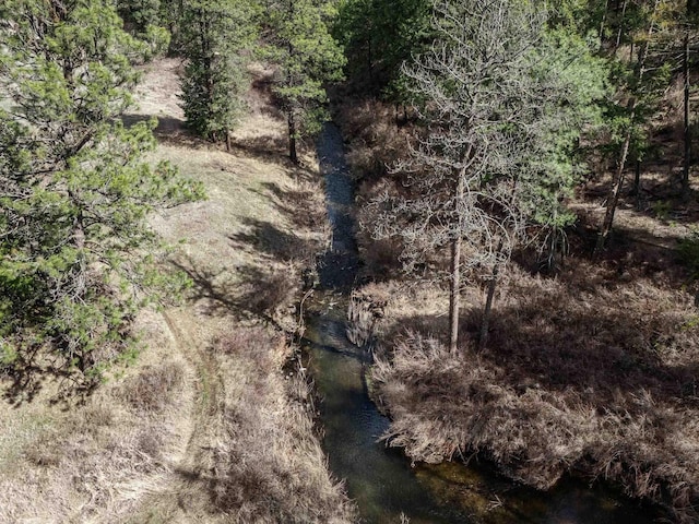 16215 W Coulee Hite Rd, Spokane, WA 99224 - view of undeveloped land