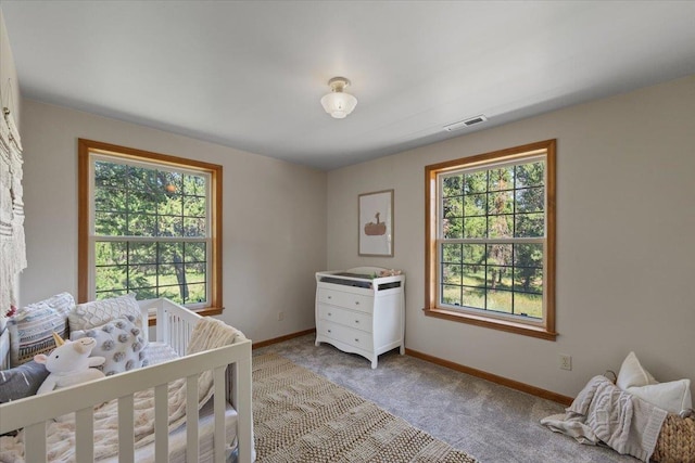 5245A W Prufer Crosscut Rd, Deer Park, WA 99006 - photo 22