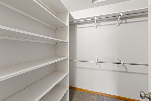5245A W Prufer Crosscut Rd, Deer Park, WA 99006 - walk in closet with carpet floors