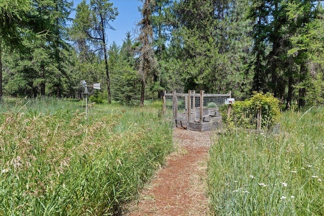 5245A W Prufer Crosscut Rd, Deer Park, WA 99006 - view of yard featuring a vegetable garden and a view of trees