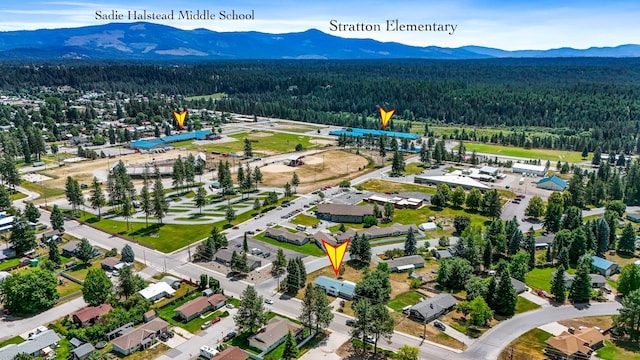 1401 W 1st St, Newport, WA 99156 - aerial view of a heavily wooded area and a mountainous background