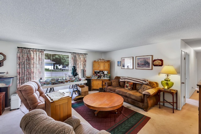 1401 W 1st St, Newport, WA 99156 - living room featuring a textured ceiling and light carpet