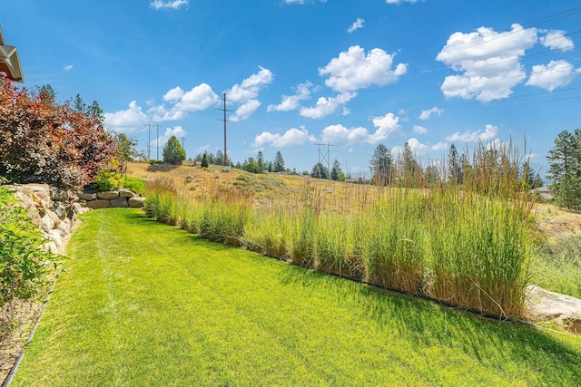 7014 E Columbia Dr, Spokane, WA 99217 - view of grassy yard