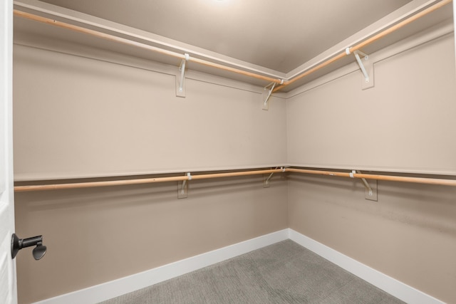 7014 E Columbia Dr, Spokane, WA 99217 - spacious closet featuring carpet flooring