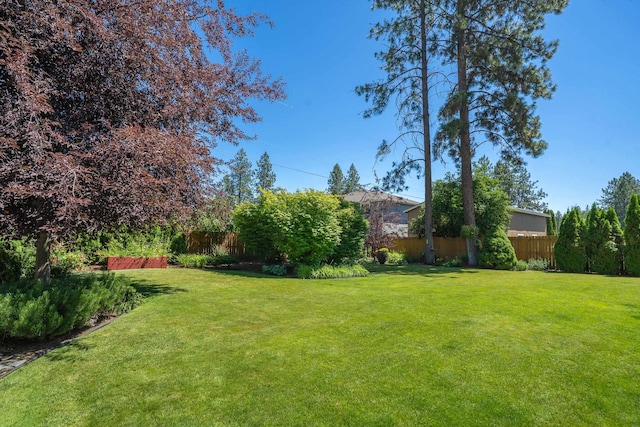 11912 N Atlantic St, Spokane, WA 99218 - view of yard