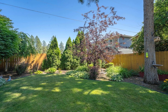 11912 N Atlantic St, Spokane, WA 99218 - view of yard