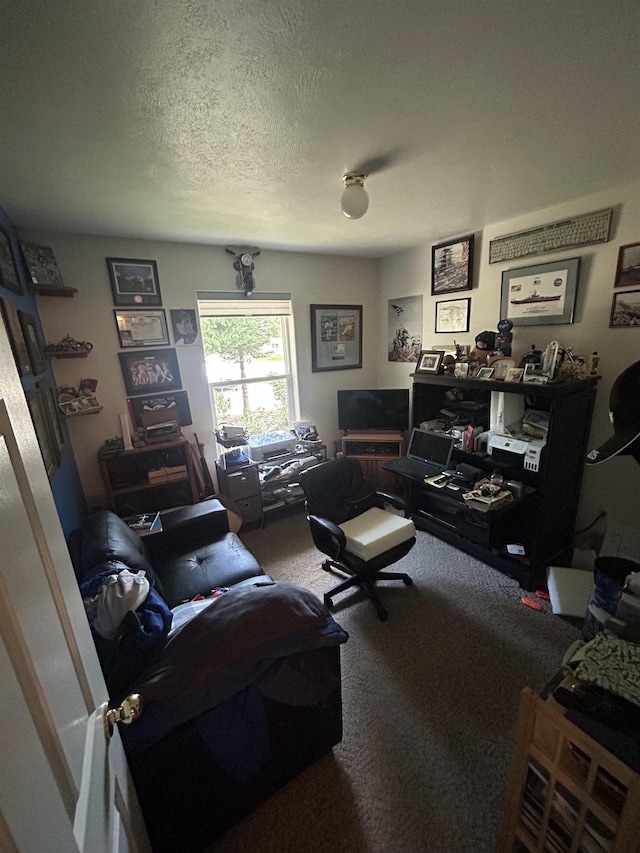 603 W Dennison-Chattaroy Rd, Deer Park, WA 99006 - carpeted living area featuring a textured ceiling