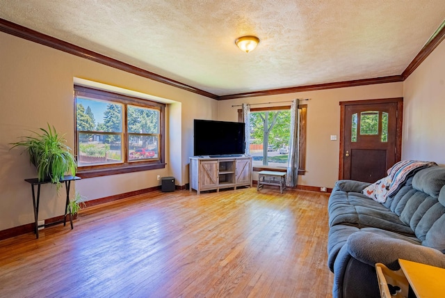 3927 N Jefferson St, Spokane, WA 99205 - living room featuring light wood-style flooring, crown molding, and a textured ceiling