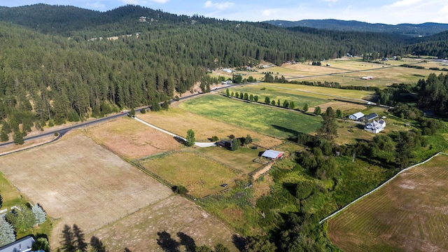 17207 N Mt Spokane Park Dr, Mead, WA 99021 - aerial view of property's location with rural landscape