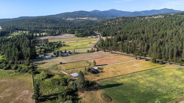 17207 N Mt Spokane Park Dr, Mead, WA 99021 - view of property location featuring a forest and a mountainous background