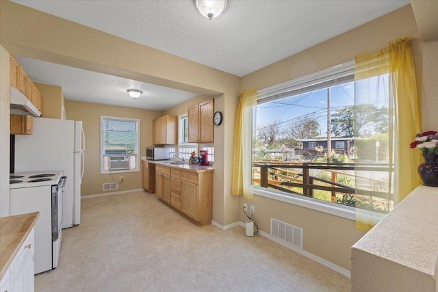 34 E Euclid Ave, Spokane, WA 99207 - kitchen featuring white appliances, under cabinet range hood, light countertops, and light carpet