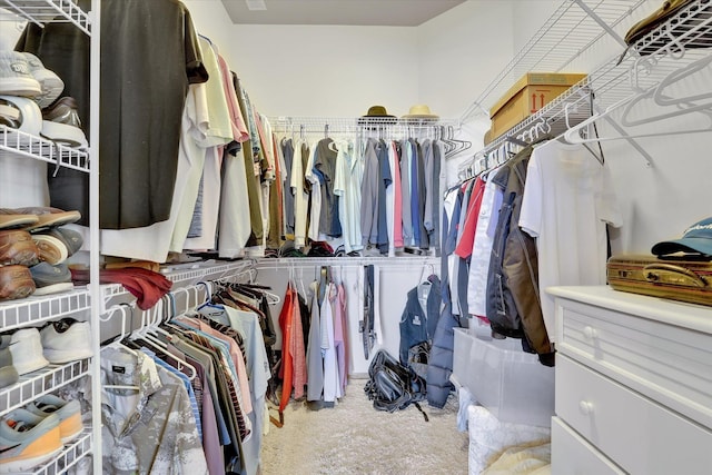 11425 N Lloyd Charles Ln, Spokane, WA 99218 - view of walk in closet