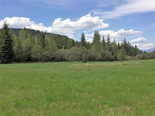 512 Ibbetson Dr, Ione, WA 99139 - photo 4