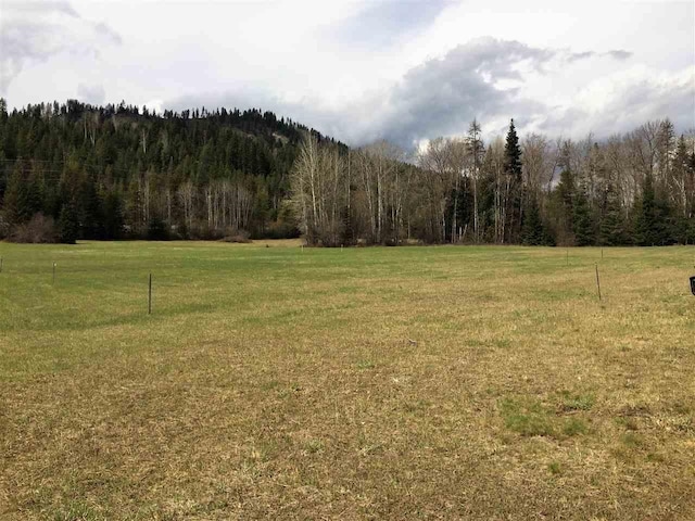 512 Ibbetson Dr, Ione, WA 99139 - photo 7