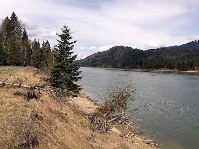 512 Ibbetson Dr, Ione, WA 99139 - photo 9
