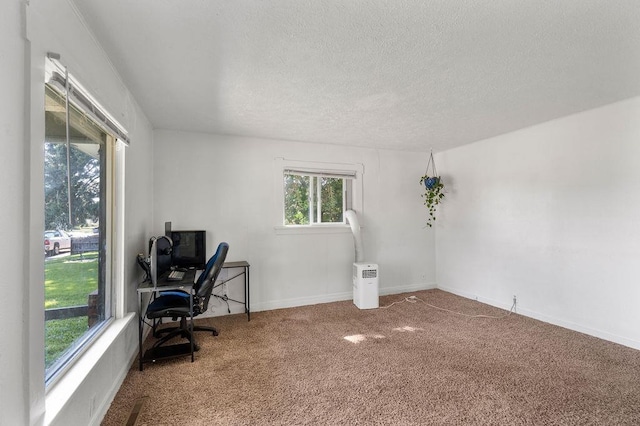 1019 E Everett Ave, Spokane, WA 99207 - office area with carpet flooring and a textured ceiling