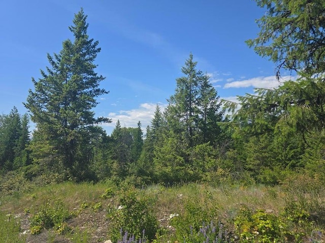 3715 Hill Loop Rd, Kettle Falls, WA 99141 - photo 1