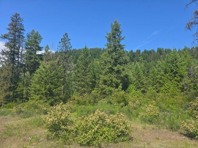 3715 Hill Loop Rd, Kettle Falls, WA 99141 - photo 12