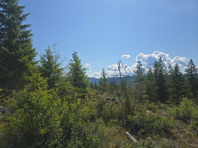 3715 Hill Loop Rd, Kettle Falls, WA 99141 - photo 13