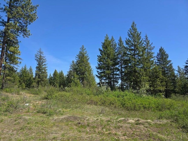 3715 Hill Loop Rd, Kettle Falls, WA 99141 - photo 3