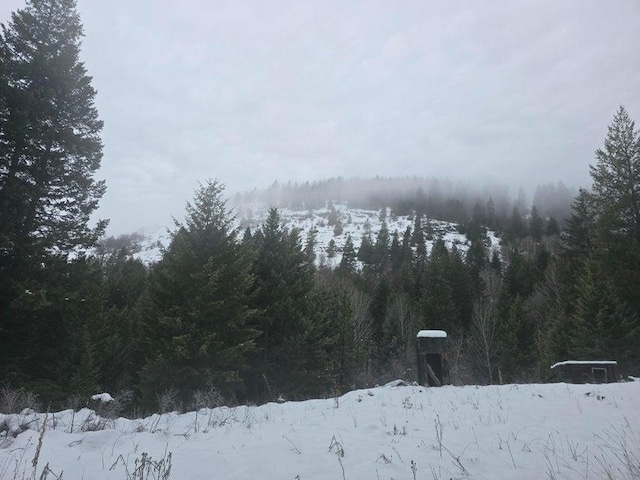 3715 Hill Loop Rd, Kettle Falls, WA 99141 - photo 7