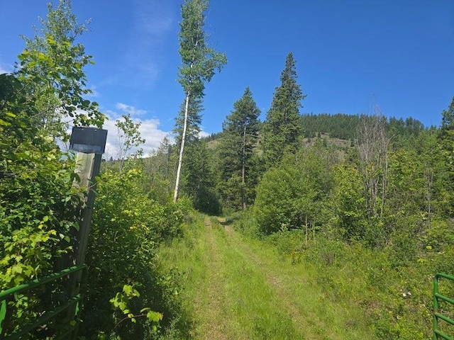 3715 Hill Loop Rd, Kettle Falls, WA 99141 - photo 9