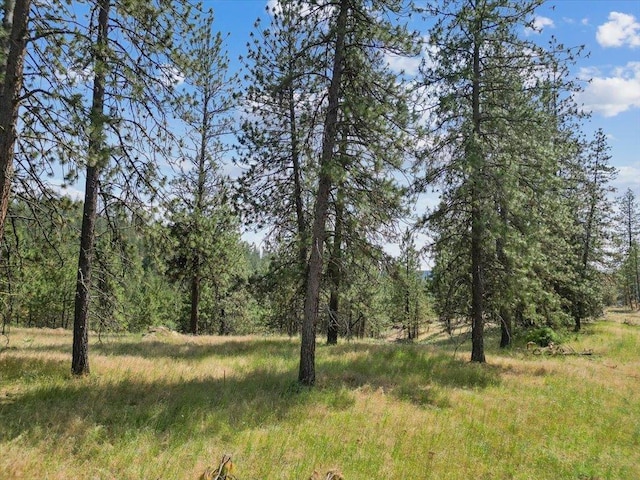 NKA Weaver Way Lot B Of Lot 6, Deer Park, WA 99006