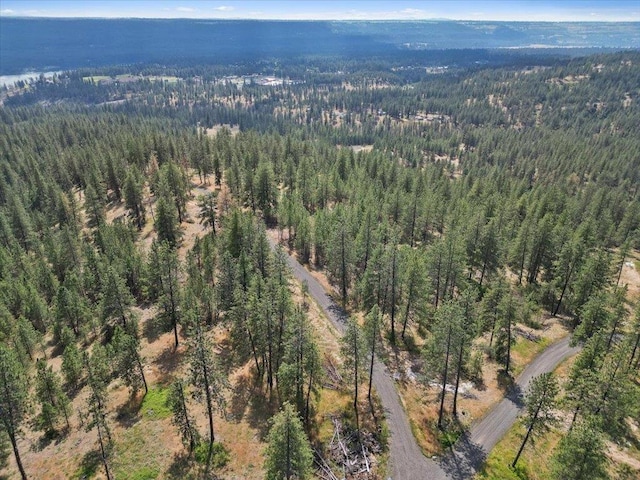 NKA Weaver Way Lot B Of Lot 6, Deer Park, WA 99006