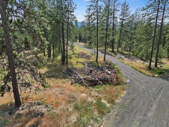 NKA Weaver Way Lot B Of Lot 6, Deer Park, WA 99006