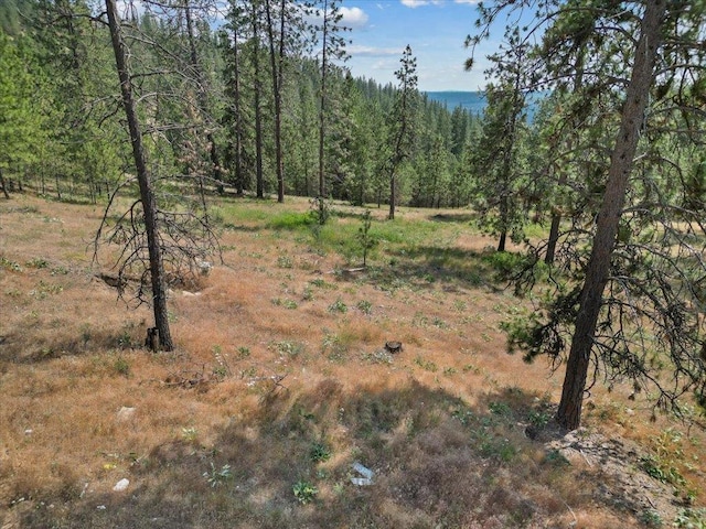 NKA Weaver Way Lot B Of Lot 6, Deer Park, WA 99006