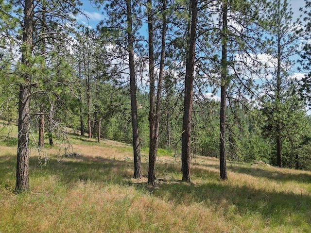 NKA Weaver Way Lot B Of Lot 6, Deer Park, WA 99006