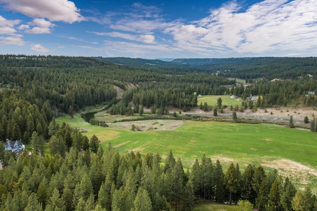 1807 E Pinegate Ln, Spokane, WA 99224 - drone / aerial view of a forest and a mountainous background