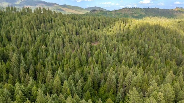 00 Buck Creek Rd, Loon Lake, WA 99148
