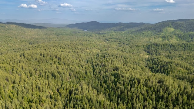 00 Buck Creek Rd, Loon Lake, WA 99148