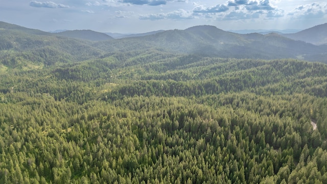 00 Buck Creek Rd, Loon Lake, WA 99148