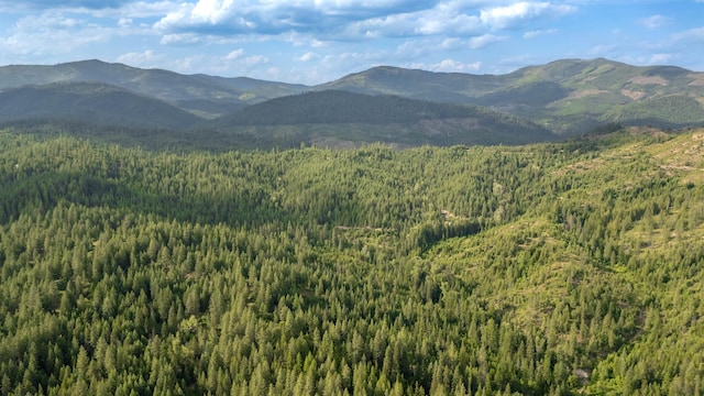 00 Buck Creek Rd, Loon Lake, WA 99148