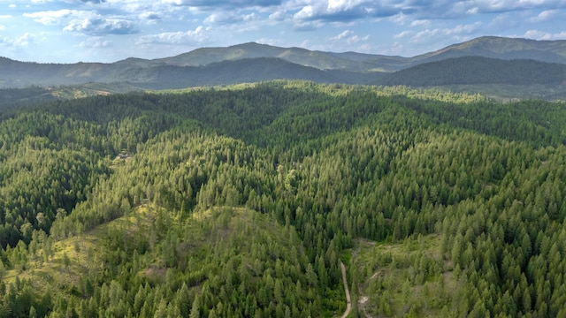 00 Buck Creek Rd, Loon Lake, WA 99148