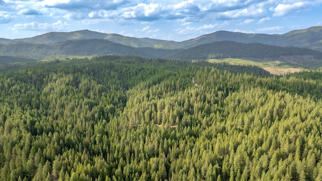 00 Buck Creek Rd, Loon Lake, WA 99148